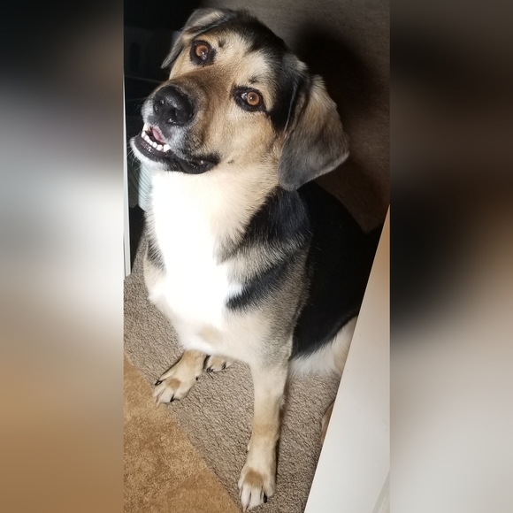 Meet your Posher, Melissa - Picture 4 of 12